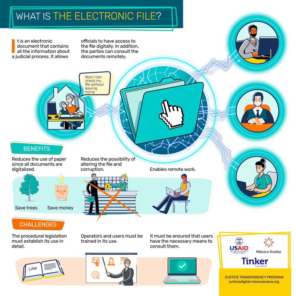 5-What is the electronic file